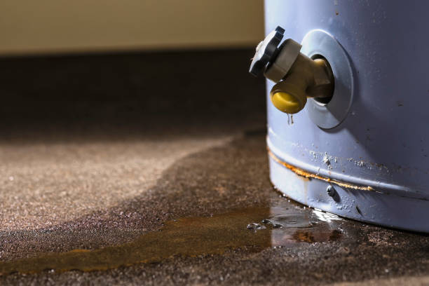 Best Basement water damage restoration  in Line Acres, MO