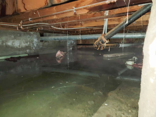 Best Ceiling water damage repair  in Line Acres, MO