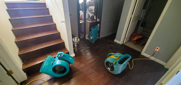 Best Water damage repair service  in Line Acres, MO