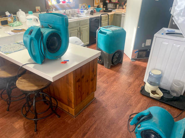 Best Water damage cleanup near me  in Line Acres, MO