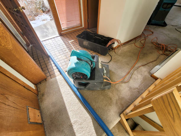 Best Flood restoration services  in Line Acres, MO