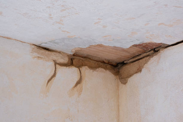 Best Residential water damage restoration  in Line Acres, MO