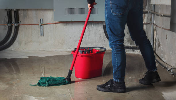 Best Water damage restoration services  in Line Acres, MO