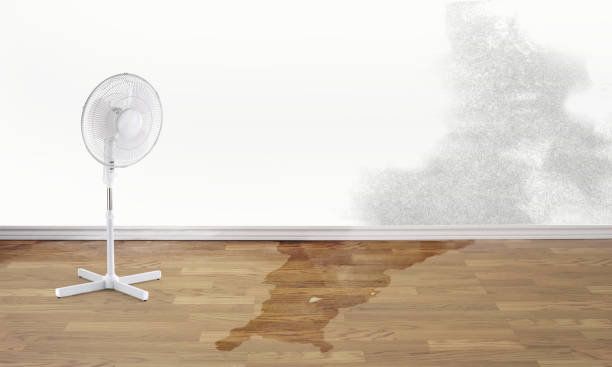 Moline Acres, MO Water damage restoration Company