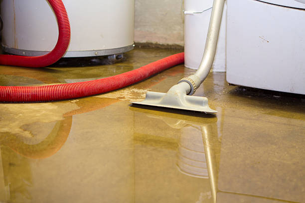 Best Mold removal after water damage  in Line Acres, MO