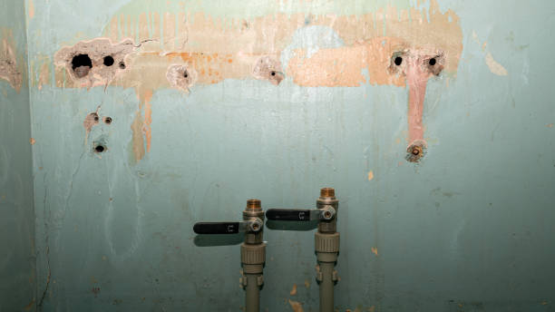 Best Emergency water damage restoration  in Line Acres, MO