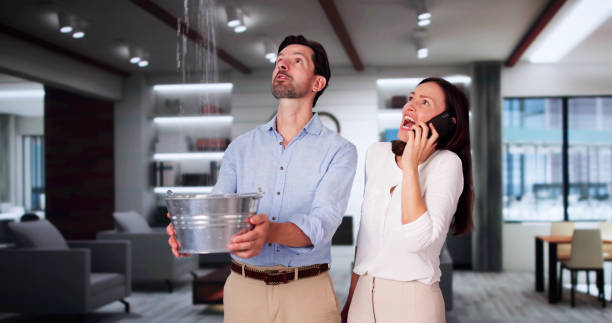 Best Sewage cleanup and water damage restoration  in Line Acres, MO