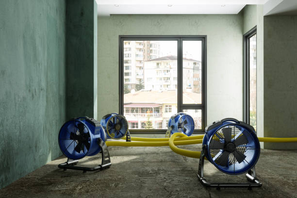 Best Commercial water damage restoration  in Line Acres, MO